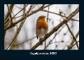 Vogelparadies 2023 Fotokalender DIN A4 - Tobias Becker