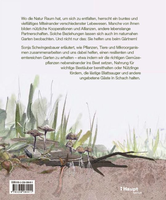 InsideView 5