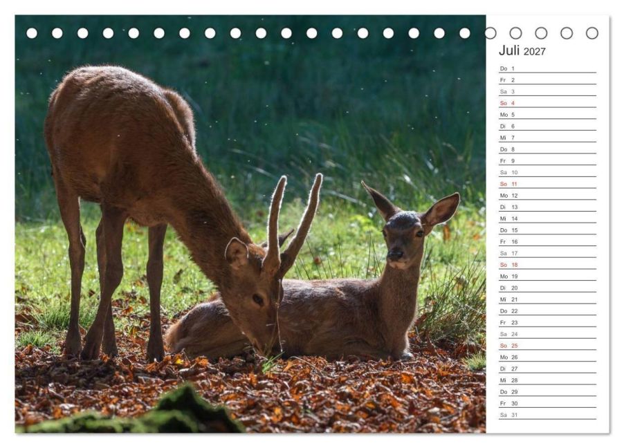 InsideView 12