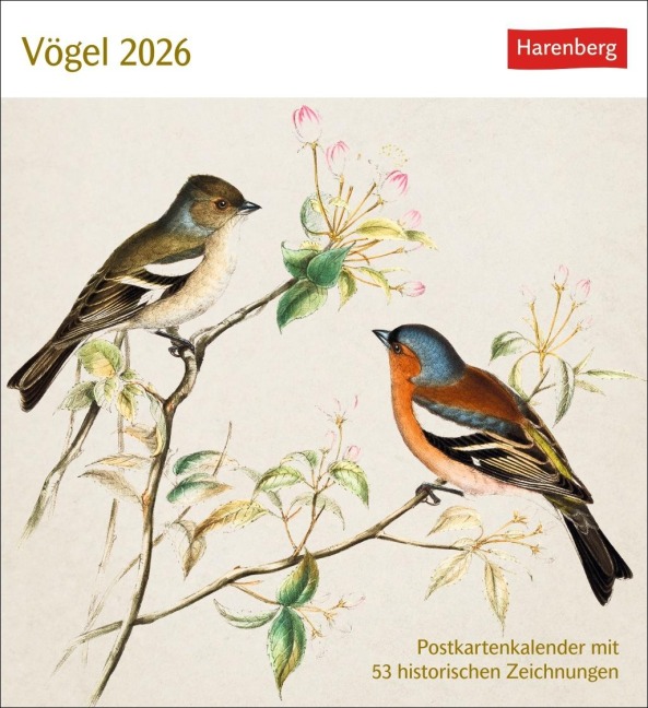 Vögel Postkartenkalender 2026 - Postkartenkalender mit 53 historischen Zeichnungen - 