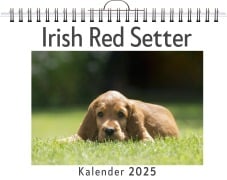 Irish Red Setter - Clara Koch