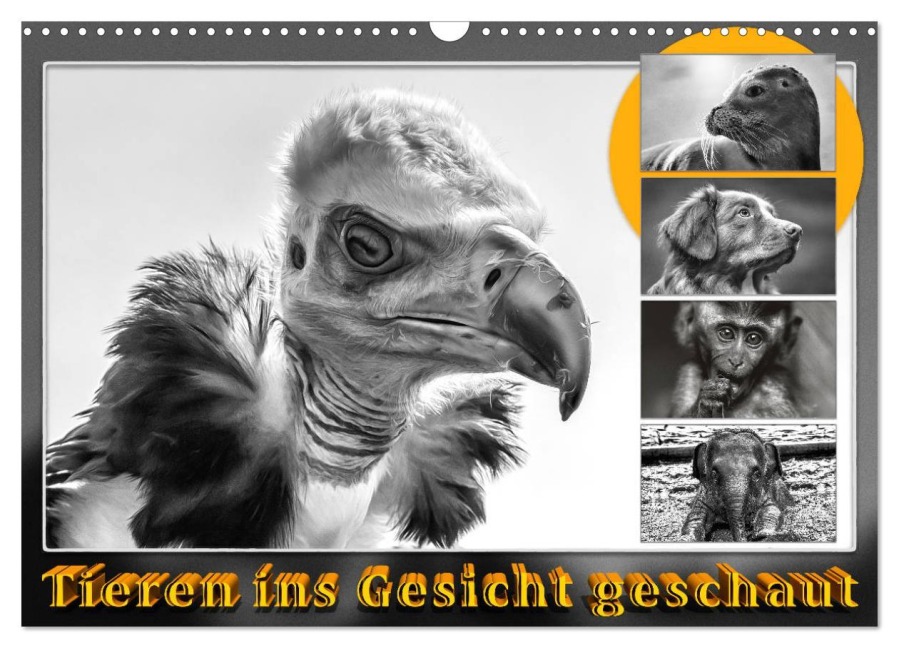 Tieren ins Gesicht geschaut (Wandkalender 2026 DIN A3 quer), CALVENDO Monatskalender - Dieter Gödecke