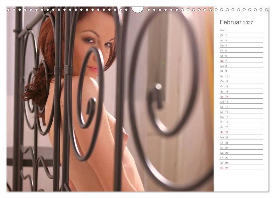 InsideView 7