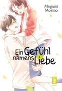 Cover-Bild zum Titel 'Ein Gefühl namens Liebe 06' von 'Megumi Morino'