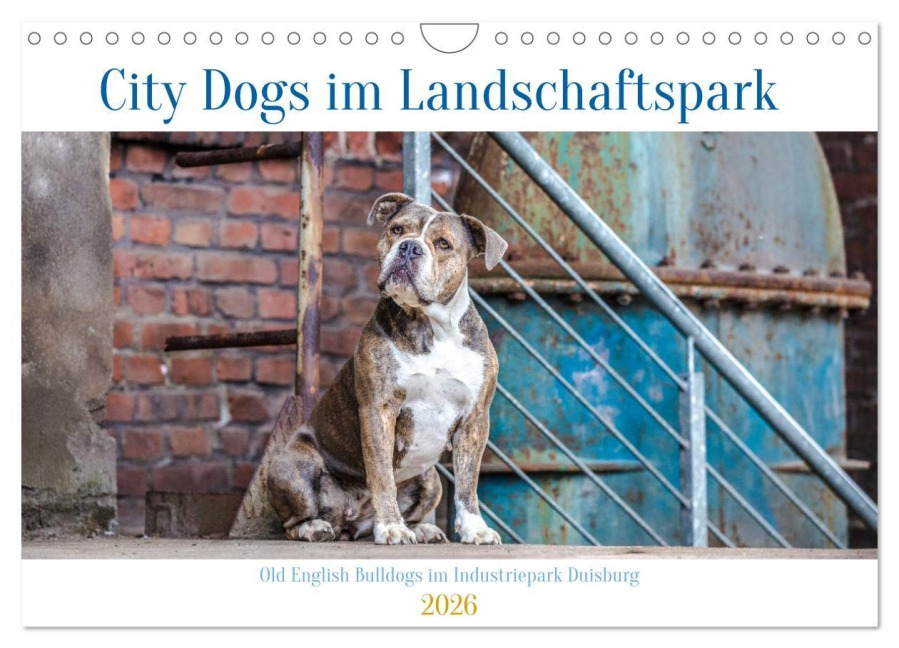 City Dogs im Landschaftspark (Wandkalender 2026 DIN A4 quer), CALVENDO Monatskalender - Fotodesign Verena Scholze