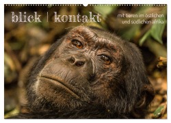 Cover-Bild zum Titel 'blick kontakt mit tieren im östlichen und südlichen afrika (Wandkalender 2026 DIN A2 quer), CALVENDO Monatskalender' von 'Rsiemer Rsiemer'