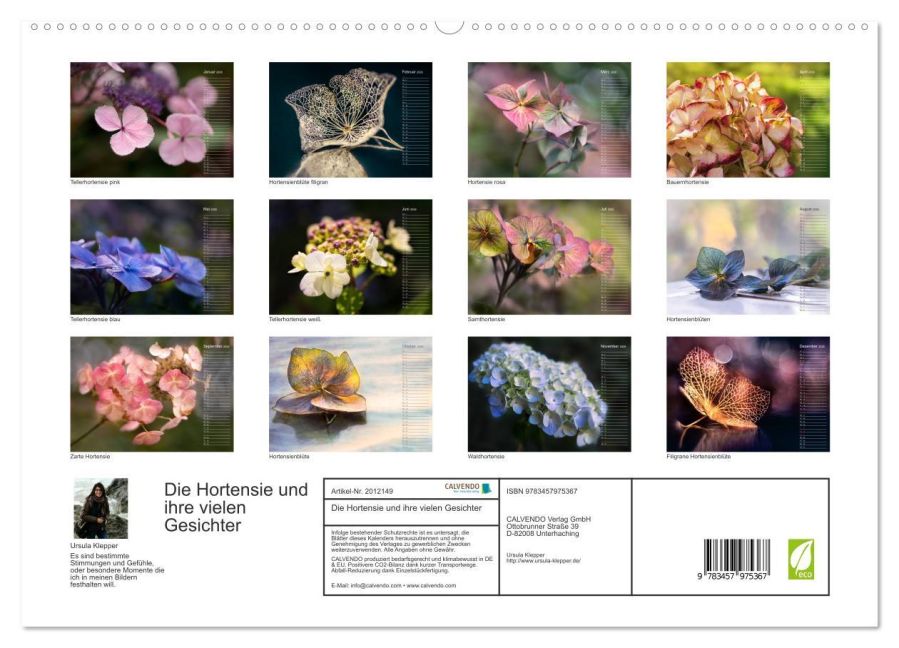 InsideView 4