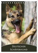 Cover-Bild zum Titel 'Deutscher Schäferhund (Tischkalender 2026 DIN A5 hoch), CALVENDO Monatskalender' von 'Claudia Steininger'