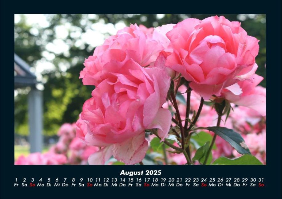 InsideView 12