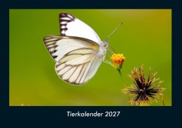 Cover-Bild zum Titel 'Tierkalender 2027 Fotokalender DIN A4' von 'Tobias Schmitt, Kevin Heber'