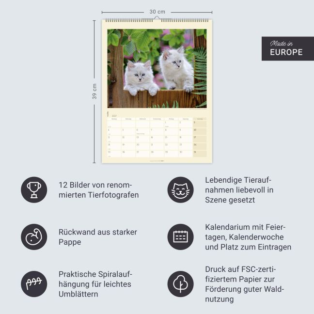 InsideView 13