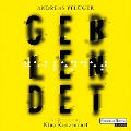 Cover-Bild zum Titel 'Geblendet' von 'Andreas Pflüger'