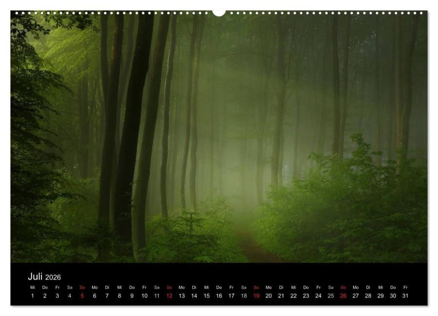 InsideView 12