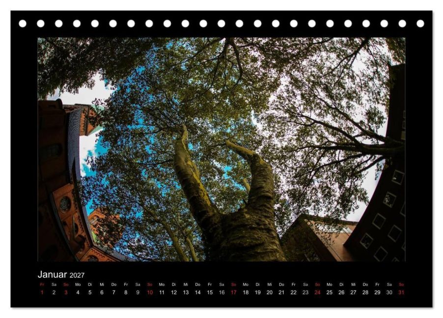 InsideView 6
