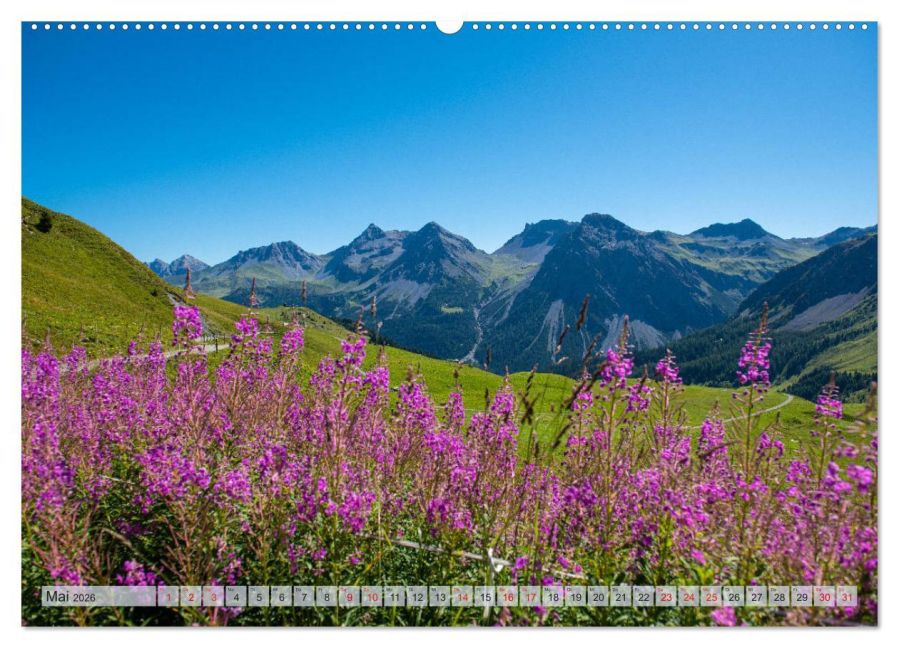 InsideView 10