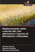 Cover-Bild zum Titel 'Miglioramento della crescita del riso attraverso l'inoculo di Rhizobium e Rhizobac' von 'Murtaza Hasan, Ghazala Mustafa, Muhammad Jamshed'