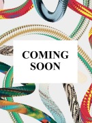 Cover-Bild zum Titel 'Theodore de Bry. America' von 'Larry E. Tise, Michiel van Groesen'