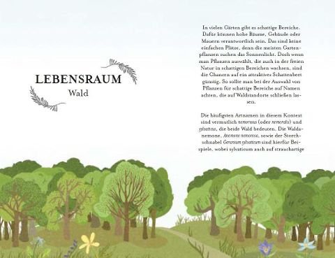 InsideView 5