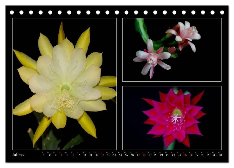 InsideView 12