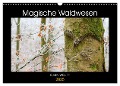 Magische Waldwesen (Wandkalender 2025 DIN A3 quer), CALVENDO Monatskalender - Ellen Wolff