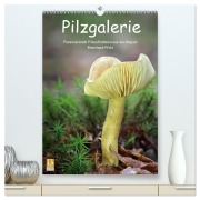 Cover-Bild zum Titel 'Pilzgalerie - Faszinierende Pilzaufnahmen aus der Region Rheinland-Pfalz (hochwertiger Premium Wandkalender 2026 DIN A2 hoch), Kunstdruck in Hochglanz' von 'Beate Wurster'