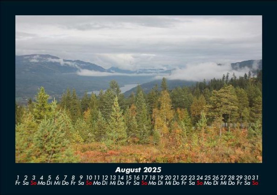 InsideView 12