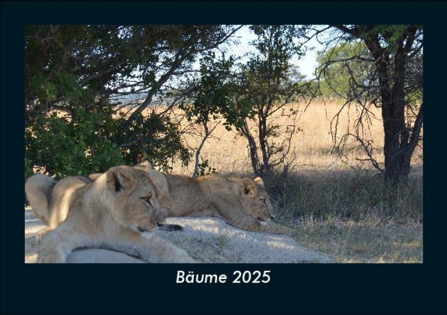 Bäume 2025 Fotokalender DIN A5 - Tobias Becker