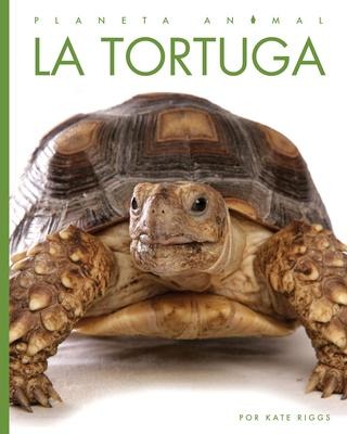 La Tortuga - Kate Riggs