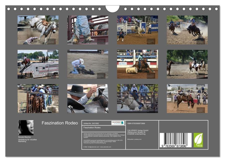 InsideView 5