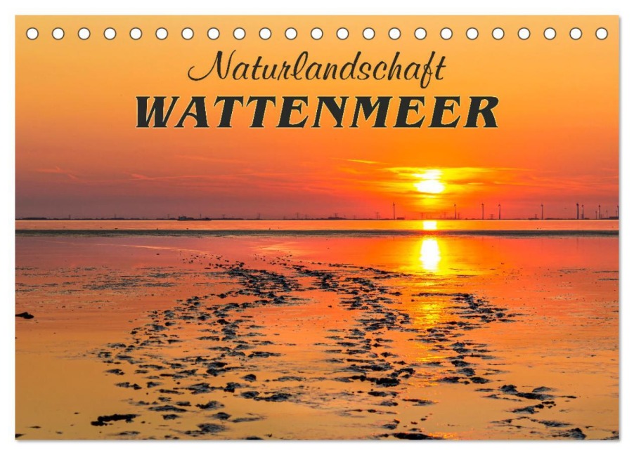 Naturlandschaft WATTENMEER (Tischkalender 2026 DIN A5 quer), CALVENDO Monatskalender - Andrea Dreegmeyer