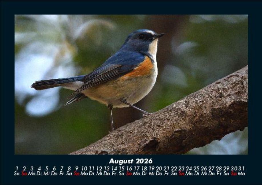 InsideView 12
