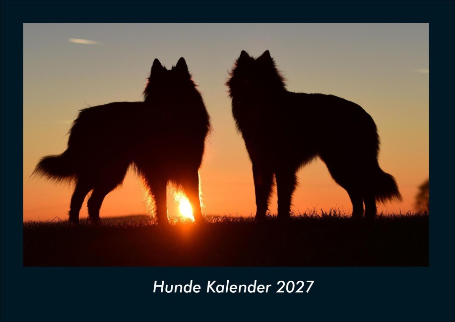 Hunde Kalender 2027 Fotokalender DIN A4 - Tobias Schmitt, Kevin Heber