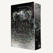 Cover-Bild zum Titel 'Alpha & Soul' von 'Stefanie Nicklas'