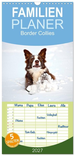 Familienplaner 2027 - Border Collies mit 5 Spalten (Wandkalender, 21 x 45 cm) CALVENDO - Hermann Greiling