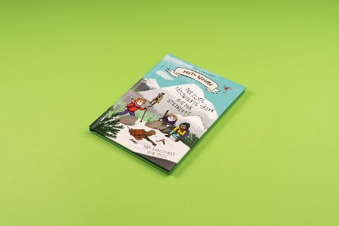 InsideView 3