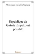 Cover-Bild zum Titel 'République de Guinée' von 'Aboubacar Mandela Camara'