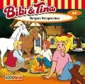 Cover-Bild zum Titel 'Folge 62:Holgers Versprechen' von 'Bibi & Tina'