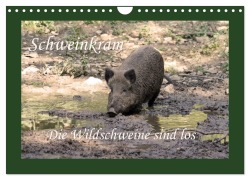 Cover-Bild zum Titel 'Schweinkram - Die Wildschweine sind los (Wandkalender 2026 DIN A4 quer), CALVENDO Monatskalender' von 'Antje Lindert-Rottke'