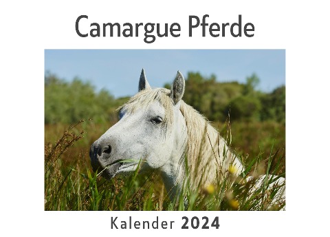 Camargue Pferde (Wandkalender 2024, Kalender DIN A4 quer, Monatskalender im Querformat mit Kalendarium, Das perfekte Geschenk) - Anna Müller