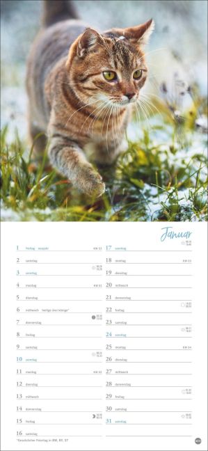 InsideView 1