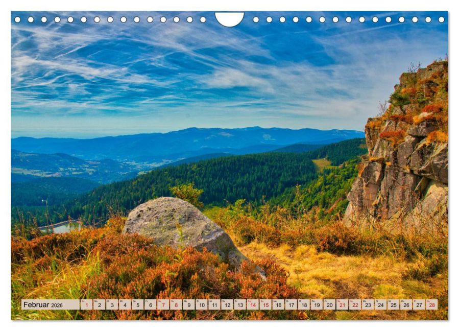 InsideView 7
