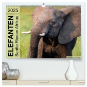 Elefanten - Sanfte Riesen Afrikas (hochwertiger Premium Wandkalender 2025 DIN A2 quer), Kunstdruck in Hochglanz - Silvia Trüssel