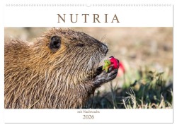 Cover-Bild zum Titel 'NUTRIA mit Nachwuchs (Wandkalender 2026 DIN A2 quer), CALVENDO Monatskalender' von 'SchnelleWelten SchnelleWelten'
