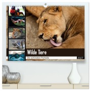 Cover-Bild zum Titel 'Wilde Tiere - Die schönsten Portraits (hochwertiger Premium Wandkalender 2027 DIN A2 quer), Kunstdruck in Hochglanz' von 'Sylke Enderlein - Bethari Bengals'