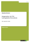 Imageanalyse der TSG Ludwigshafen-Friesenheim - Sebastian Bronner