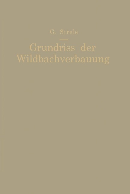 Grundriß der Wildbachverbauung - Georg Strele