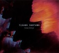 Cover-Bild zum Titel 'Vida-Codigo' von 'Tigana Santana'