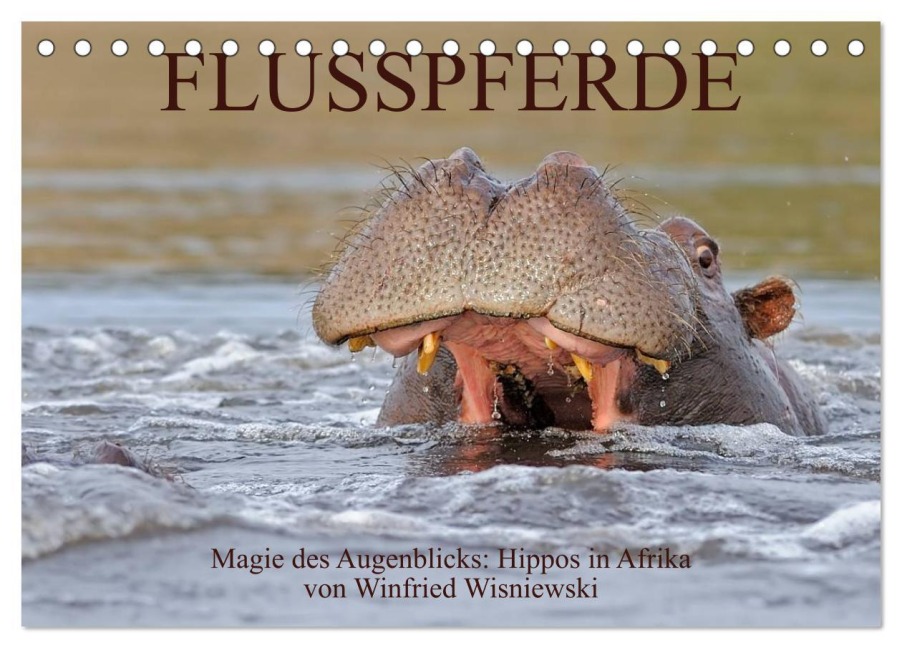 Flusspferde Magie des Augenblicks - Hippos in Afrika (Tischkalender 2026 DIN A5 quer), CALVENDO Monatskalender - Winfried Wisniewski