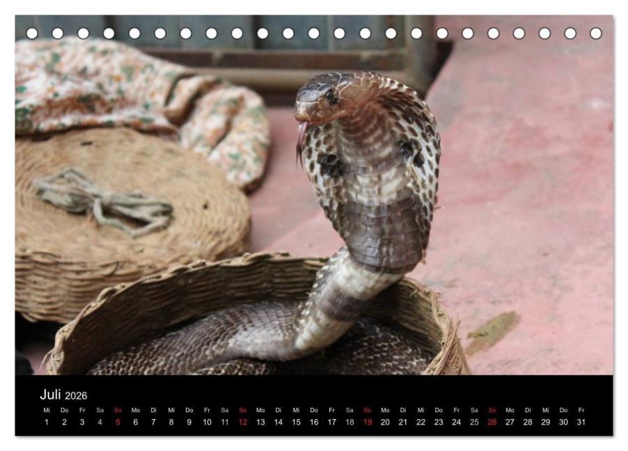 InsideView 12