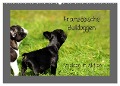 Französische Bulldoggen (Wandkalender 2025 DIN A2 quer), CALVENDO Monatskalender - Heike Hultsch